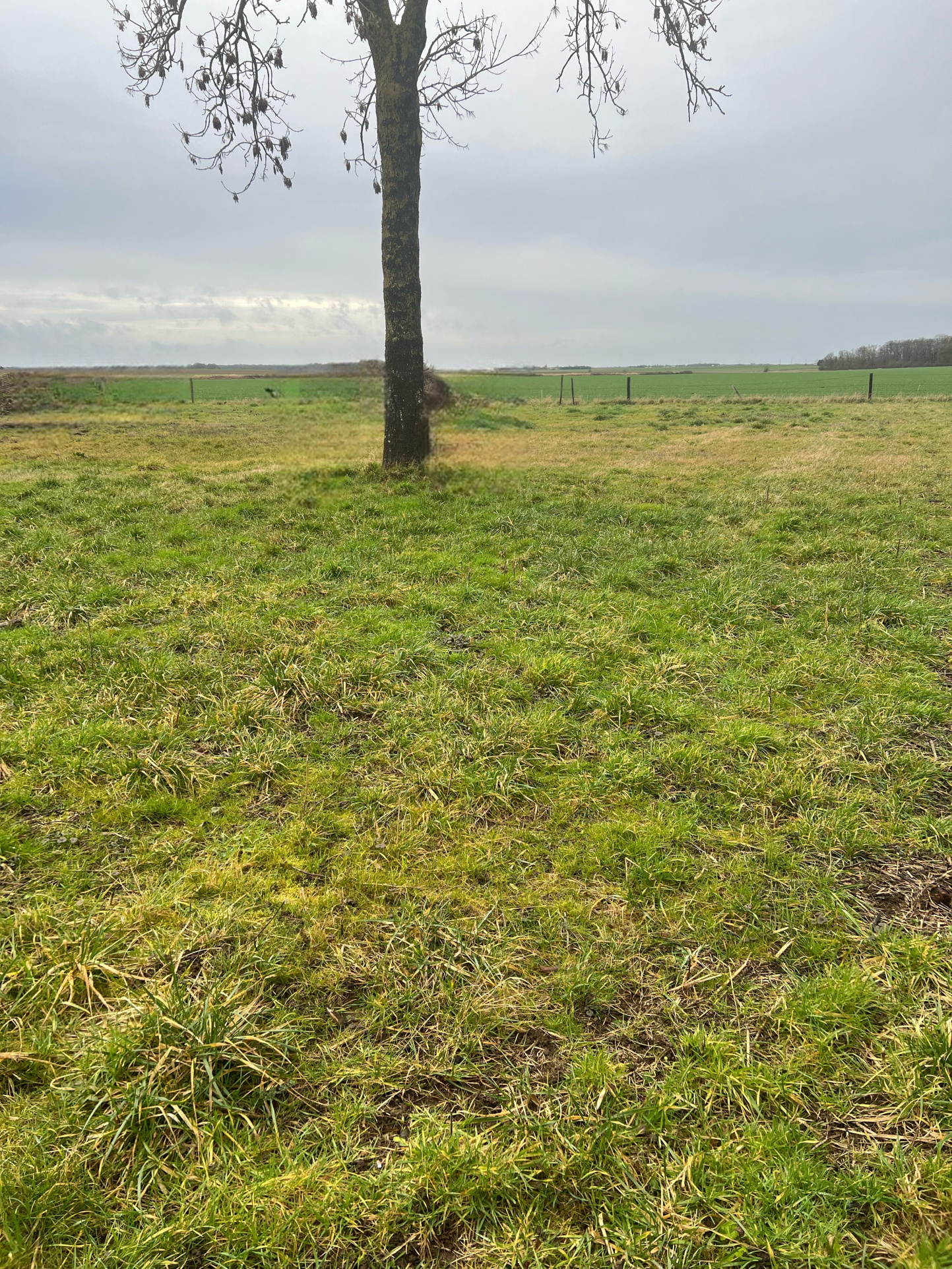 SONCHAMP 10 mn Rambouillet TERRAIN A BATIR